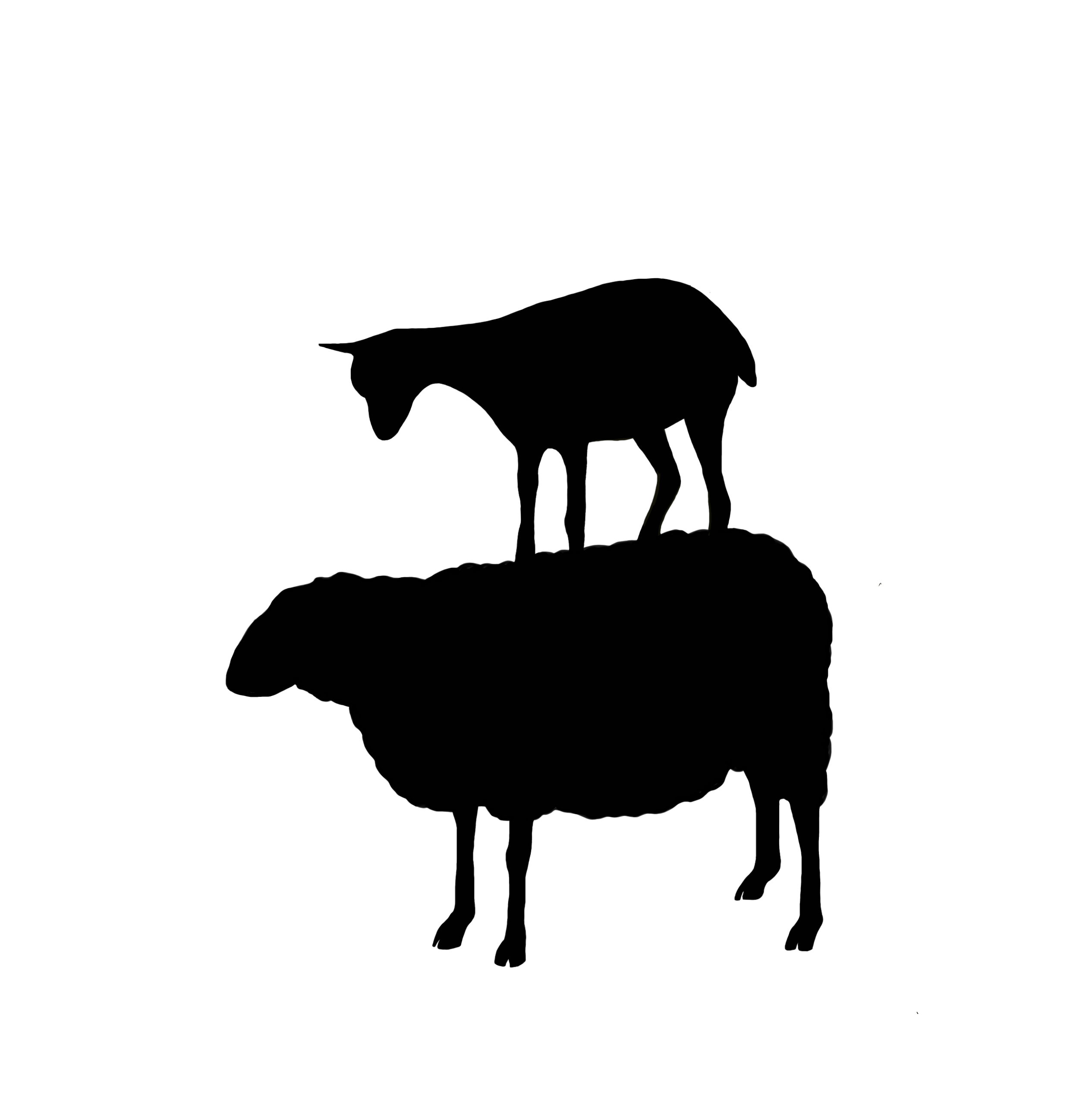 CARMA | SILVER OBJECTS